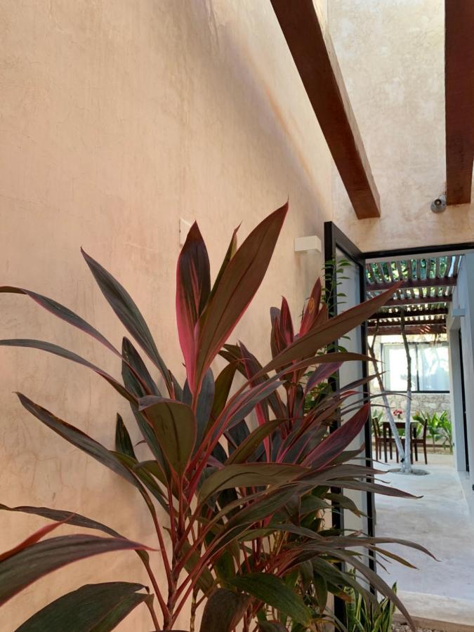 Pina Coloradas Ecolodge Yuluc Exterior foto
